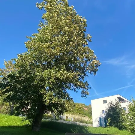 Harzperle 3 Ii Zentrales 3 Zi Ii Familien